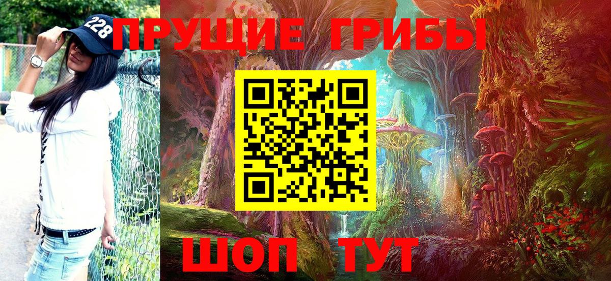 Псилоцибиновые грибы мицелий  Вход с VPN  Черногорск 